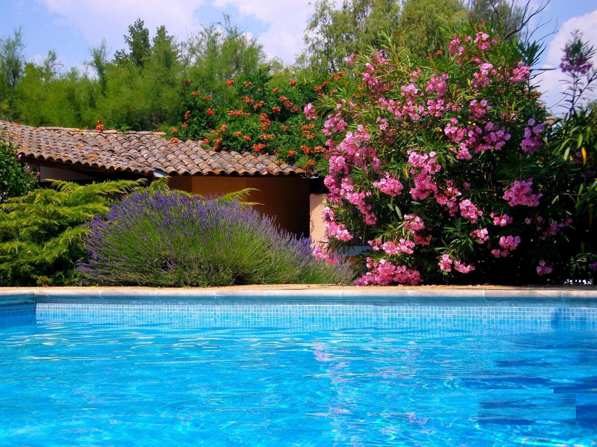 Moulin De La Roque 3* Althen-des-Paluds